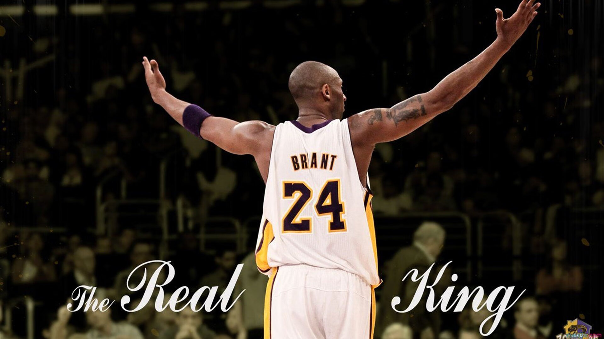 各队的“秘密武器”曝光：复盘冠军又一秘诀，秘密武器特质